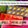 100 Mg De Gelée De Kamagra new01